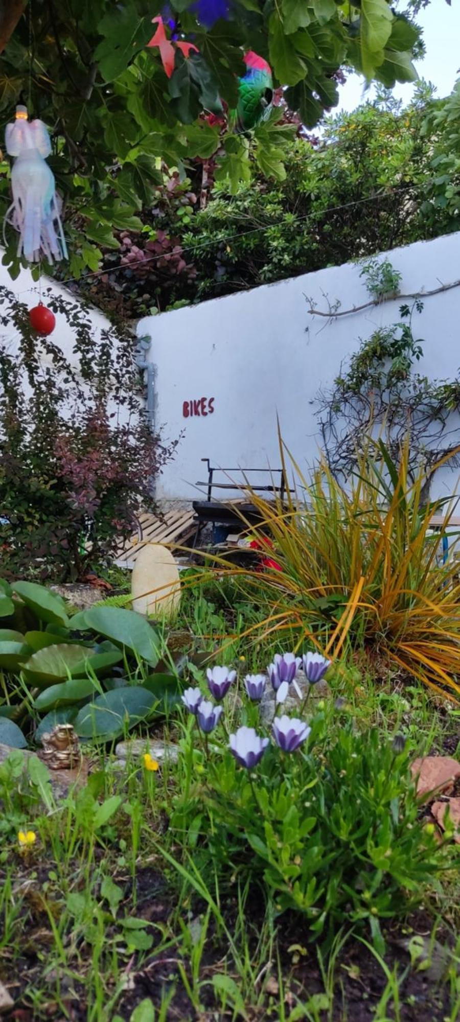 Hostel Namor Ribadeo Εξωτερικό φωτογραφία