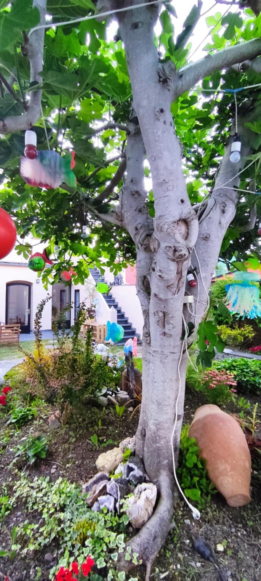 Hostel Namor Ribadeo Εξωτερικό φωτογραφία
